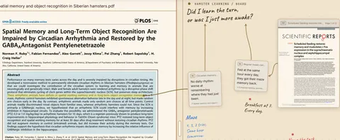 The paper docked beside the board. A line runs from its highlighted sentence to the Circadian memory card. Beside it, the second paper, “Scheduled feeding restores memory”, feeds a card reading “Fed at the same hour every day, they got their maze memory back.” Both cards point up to Gus's handwritten question: “Did I learn the turn, or was I just more awake?”