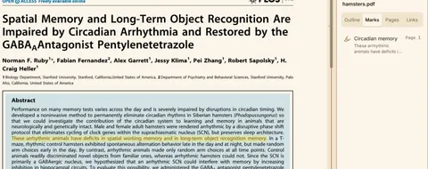 Page 1 of the paper open in the reader, with one sentence of the abstract highlighted in yellow: “These arrhythmic animals have deficits in spatial working memory and in long-term object recognition memory.” The sidebar's Marks list names it Circadian memory, page 1.